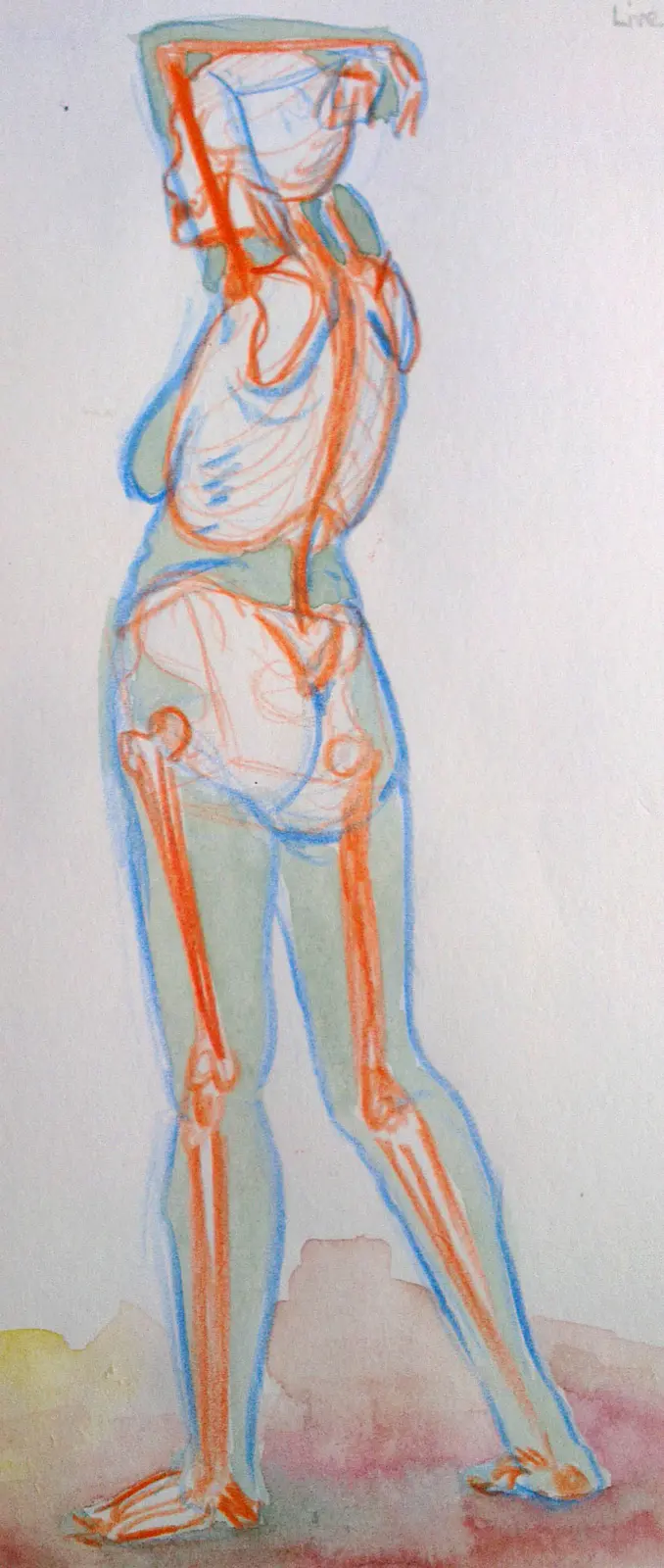 Live model anatomy study