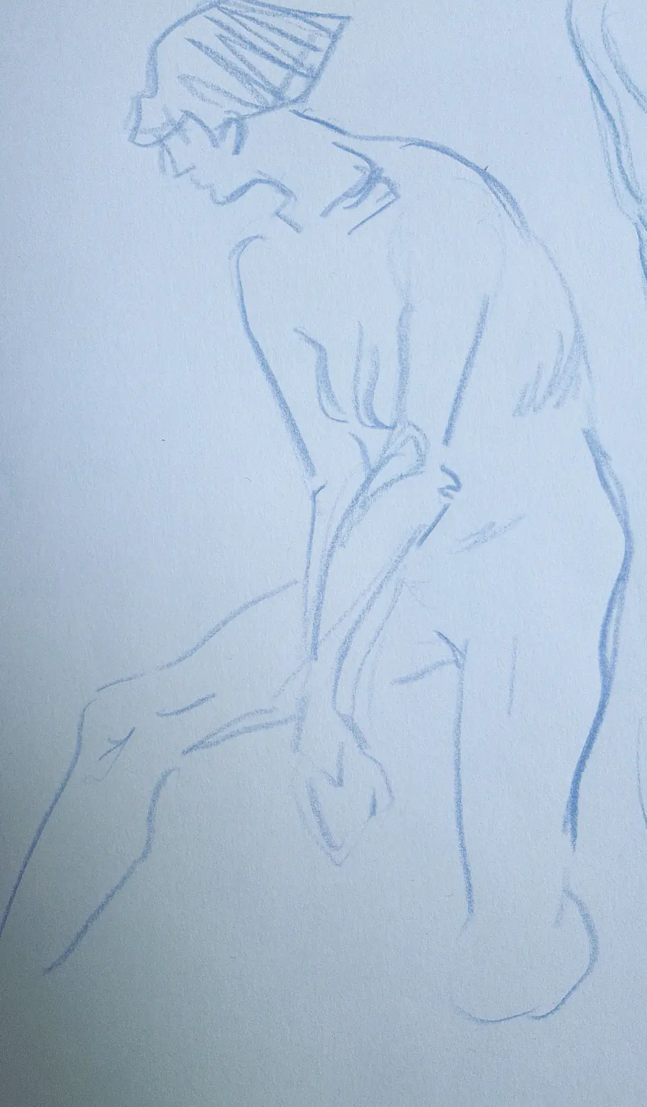Woman illustration